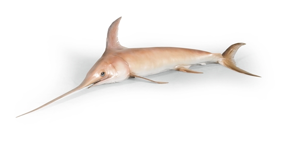 7 AM by Carsten Höller, 1994