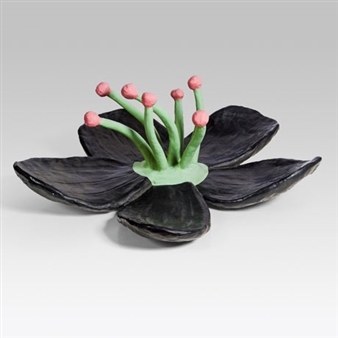 Blüte - Thomas Stimm