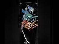 Aqueous Earth - International Studio & Curatorial Program