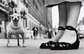 New York City - Elliott Erwitt