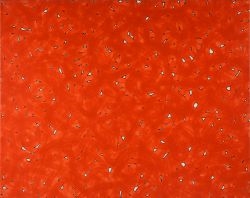 NO. 24 by Petr Kvícala, 2002