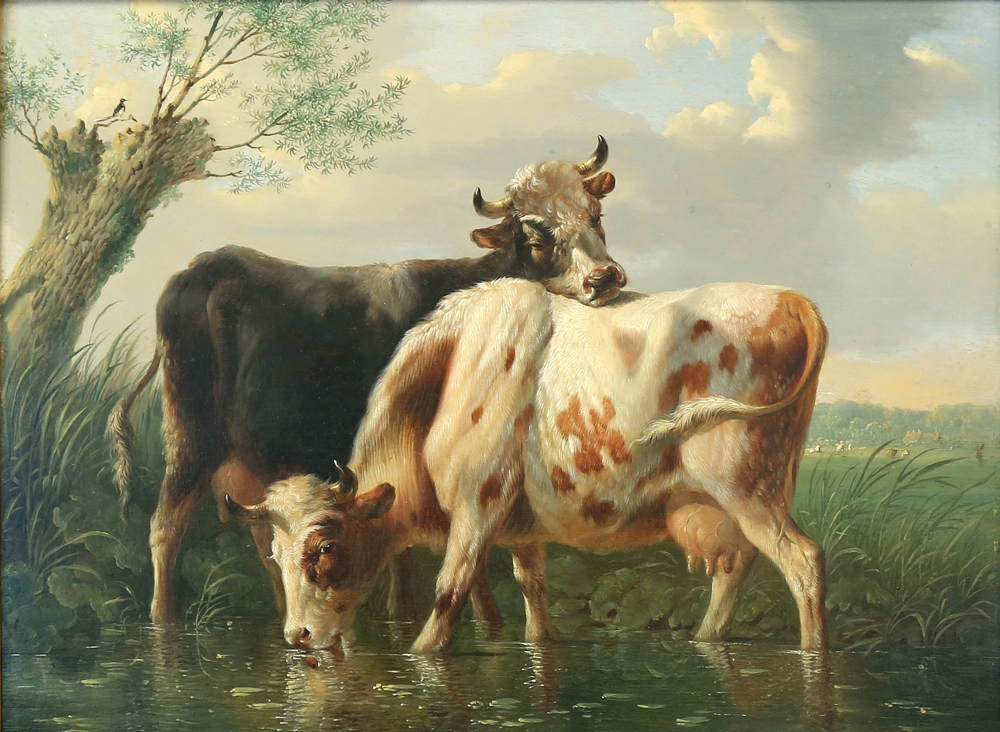 Cows in a Stream by Paulus Potter