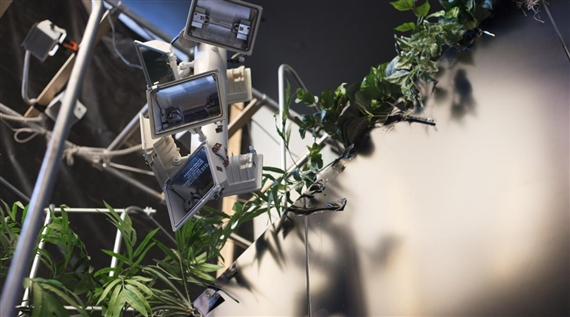 Scenario In The Shade by Jonah Freeman, Justin Lowe and Jennifer Herrema - Red Bull Arts New York  