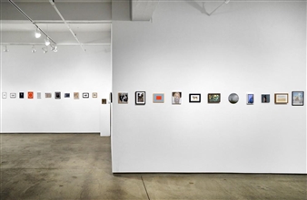 Small is Beautiful: New York 2015 - Flowers, New York