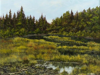 Rollyview - Linda O´Neill