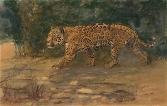 Charles R. Knight | Diplodocus (1939) | MutualArt