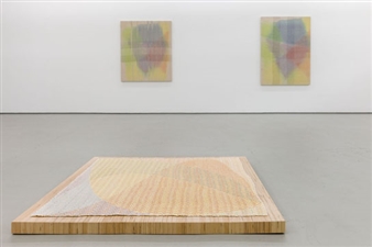 Mark Barrow & Sarah Parke: wave, particle, string - Elizabeth Dee