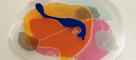 Nitty Gritty - Chicago Artists Coalition Gallery