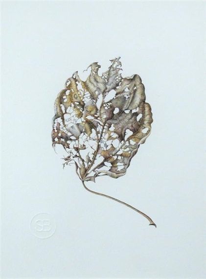 susannah-blaxill-australian-1954-mutualart