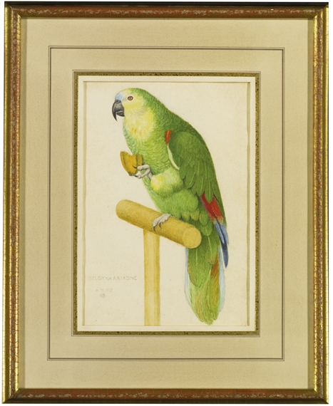 STUDY FOR ARIADNE: A GREEN PARROT by Joseph Edward Southall, 1925