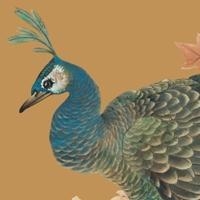 The Art of Lingnan School – Chinese Paintings by Lai Ming - Macao Museum of Art