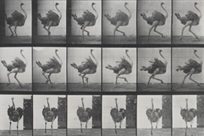 A History of Photography: Series and Sequences - V&A South Kensington