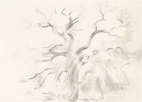 Untitled (Cottonwood Tree) by Georgia O'Keeffe, 1940s-50