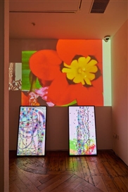 Hilary Lloyd “Robot” and Wilhelm Sasnal “Columbus” at Sadie Coles HQ, London