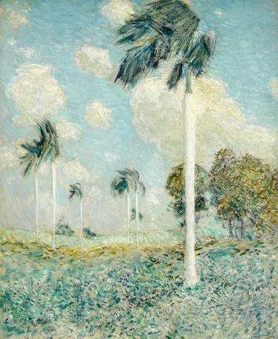 Royal Palms, Melena, Cuba