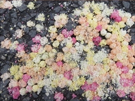 State of Matter - Künstlerhaus Dortmund 