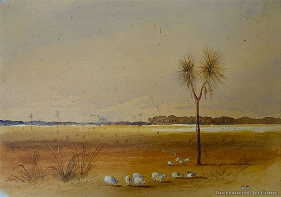 Westoe, Rangitikei from Mountain 70 Miles Off, 9000 ft High (Ruapehu) by William Fox