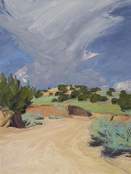 Arroyo and cloud from Tres Piedras, New Mexico by Louisa McElwain, 1992