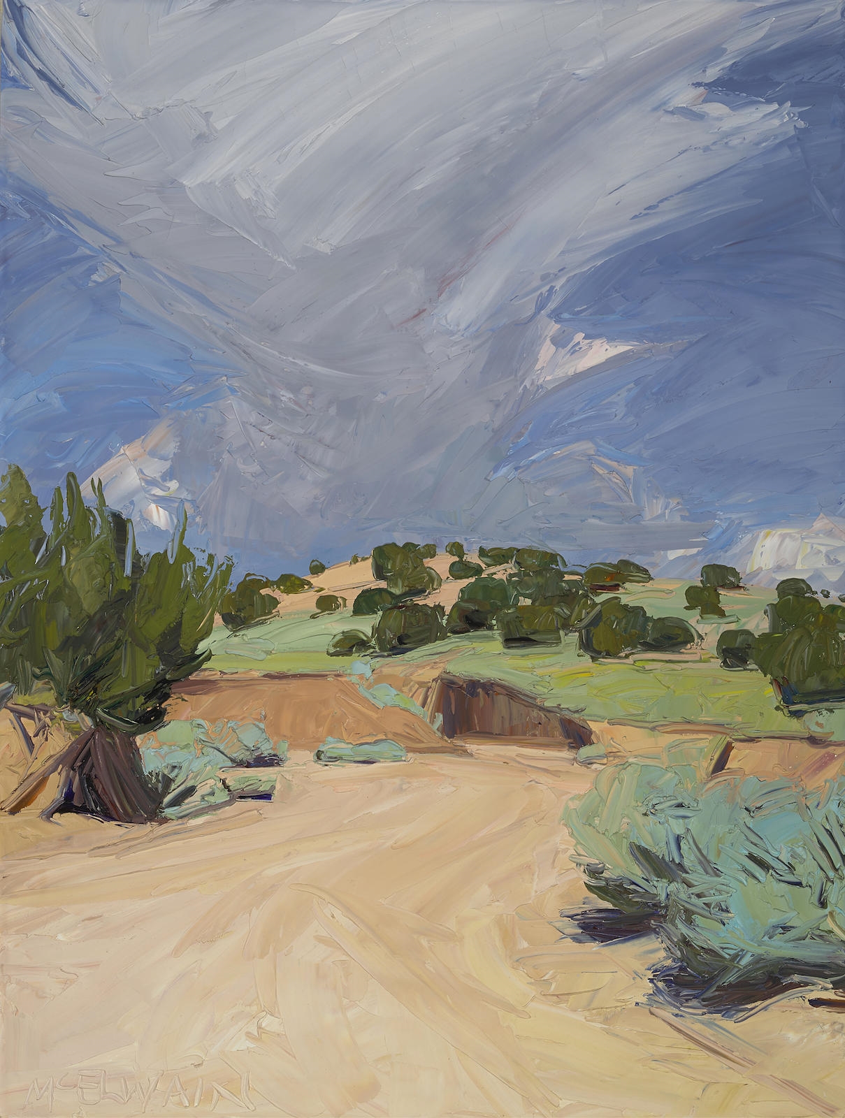 Artwork by Louisa McElwain, Arroyo and cloud from Tres Piedras, New Mexico, Made of oil on canvas