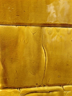 Nicole Cherubini: Golden Specific - Samson Projects