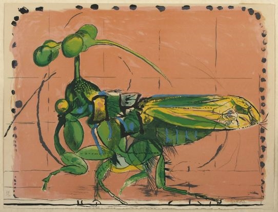 Graham Sutherland | ABSTRACT INSECT | MutualArt