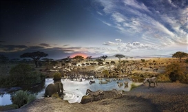 Stephen Wilkes's "Day to Night" in NY