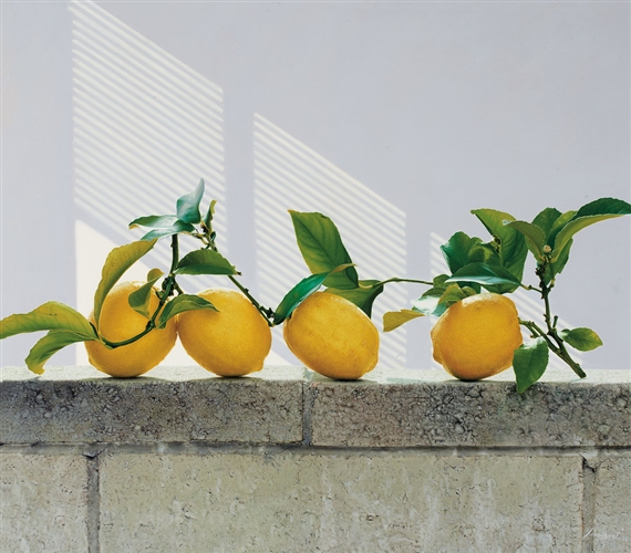 DAWN SERIES NO.9 by Liu Yingzhao