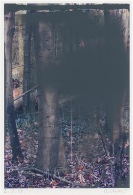 Untitled (from the series: Grauwald) by Gerhard Richter, 2008