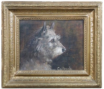 Study of Cailleach - Agnes Hilda Coates