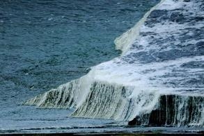 Experiments Brownian Motion  - The Lumiere Center for Photography