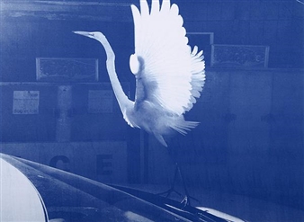 Tim Barber | 3 Artworks at Auction | MutualArt