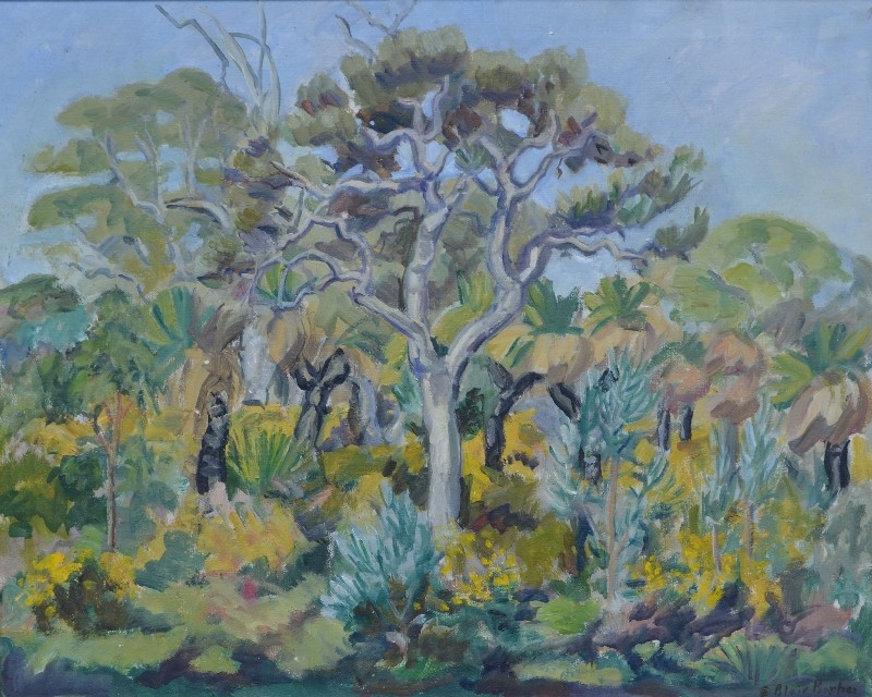 Elizabeth Blair Barber Banksia Tree and Wattle MutualArt