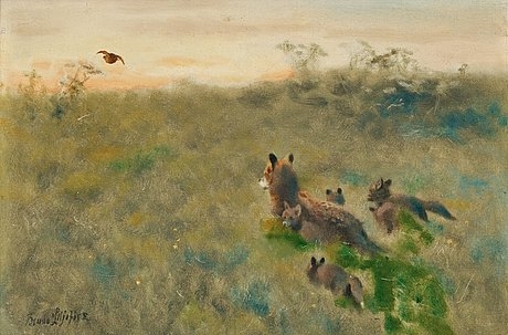 Fox Family on the Hunt