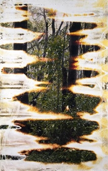 Matthew Brandt - Vedovi Gallery
