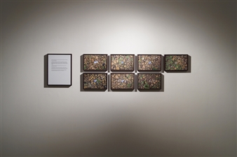 Mariam Suhail: Sweet Subjunctive - Gallery SKE, New Delhi