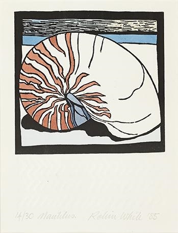 Nautilus by Robin White, 1985