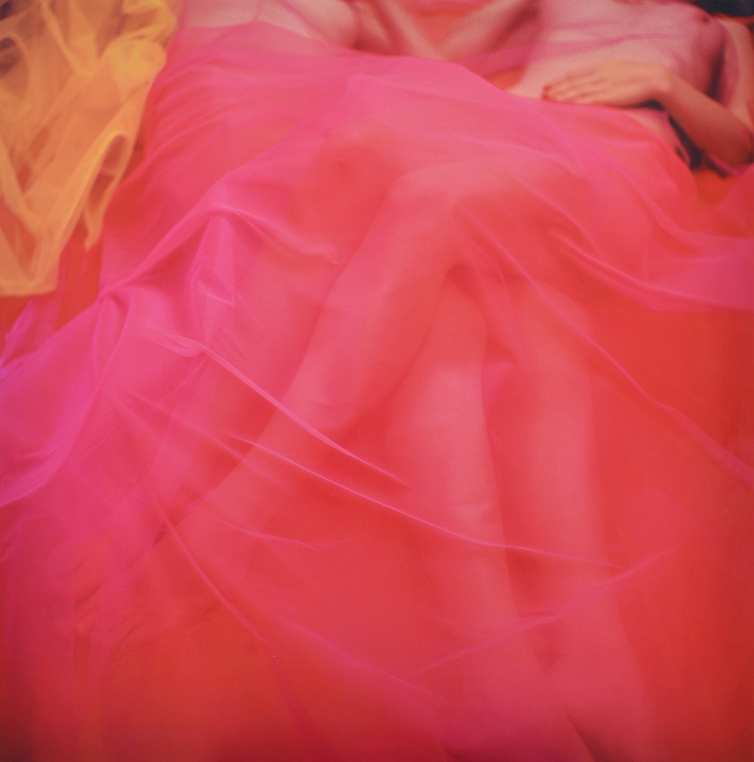 Artwork by Deborah Paauwe, Crimson Autograph, Made of c-type photograph