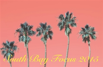 South Bay Focus 2015 - Torrance Art Museum