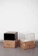 FEDEX shipping boxes by Walead Beshty