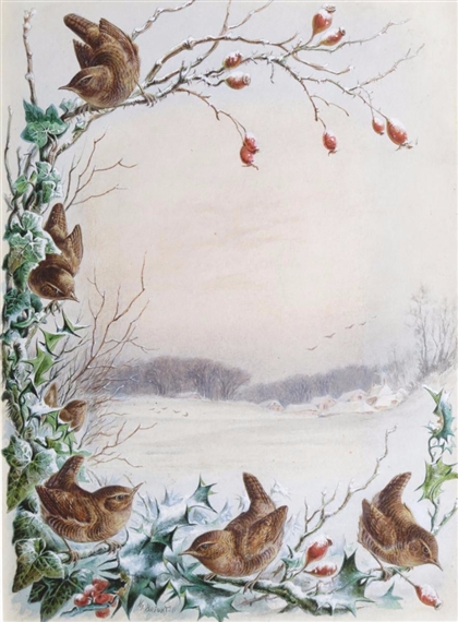 Wrens in winter; Bullfinches in spring