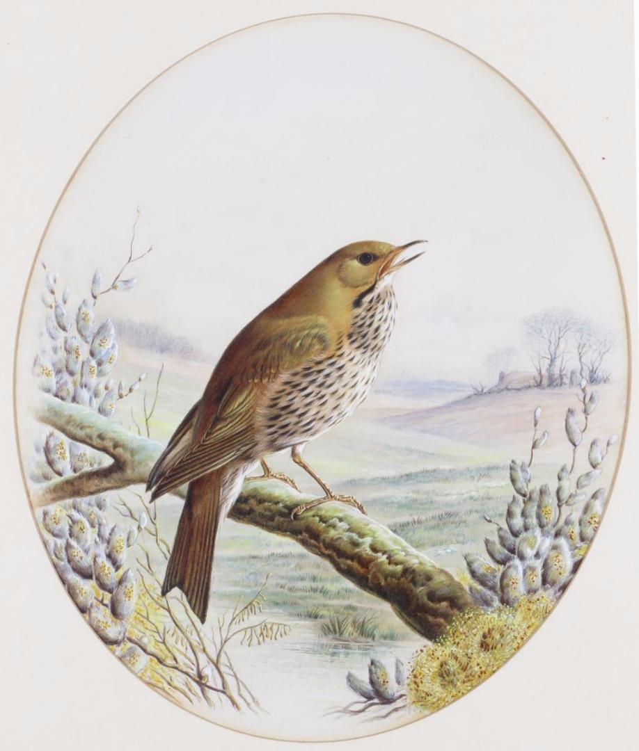 Artwork by Harry Bright, Two Works: Winter time, Merry spring, Made of watercolour