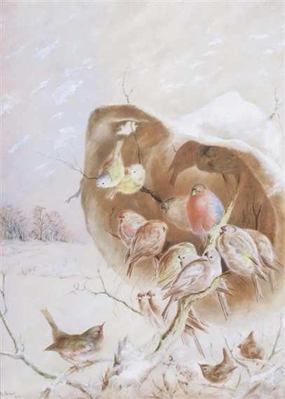 Garden birds sheltering under a hat in the snow