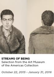 Streams of Being: Selections from the Art Museum of the Americas - Art Museum of the Americas