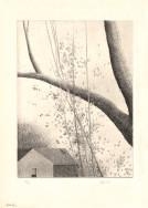 Quiet Intersections: The Graphic Work of Robert Kipniss - Syracuse University Art Galleries