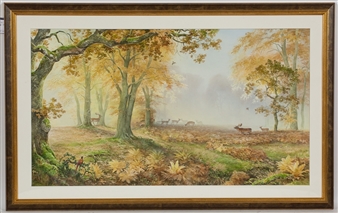 FALLOW DEER IN AN OAK WOODLAND GLADE - Jonathan Sainsbury