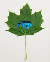 Comforts of Home - Panopticon Gallery