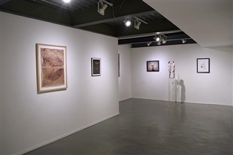 Anthology 2015 at Van der Plas Gallery