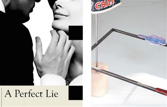 A Perfect Lie - Galerie Jeanroch Dard, Paris