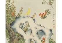 Pomegranate - Suisho Nishiyama