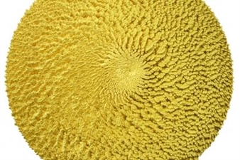LeRone Wilson: Universal Journey - gallery nine5